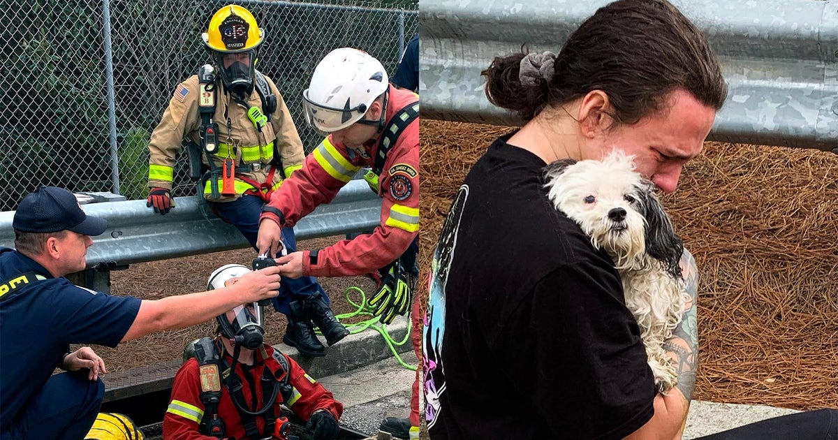 Firefighters rescue trucker's dog that fell into Cobb County storm ...