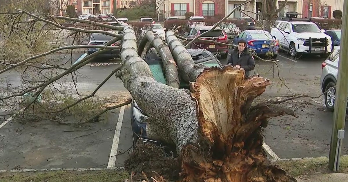 Confirmed tornado leaves widespread damage in New Jersey | FOX 5 Atlanta
