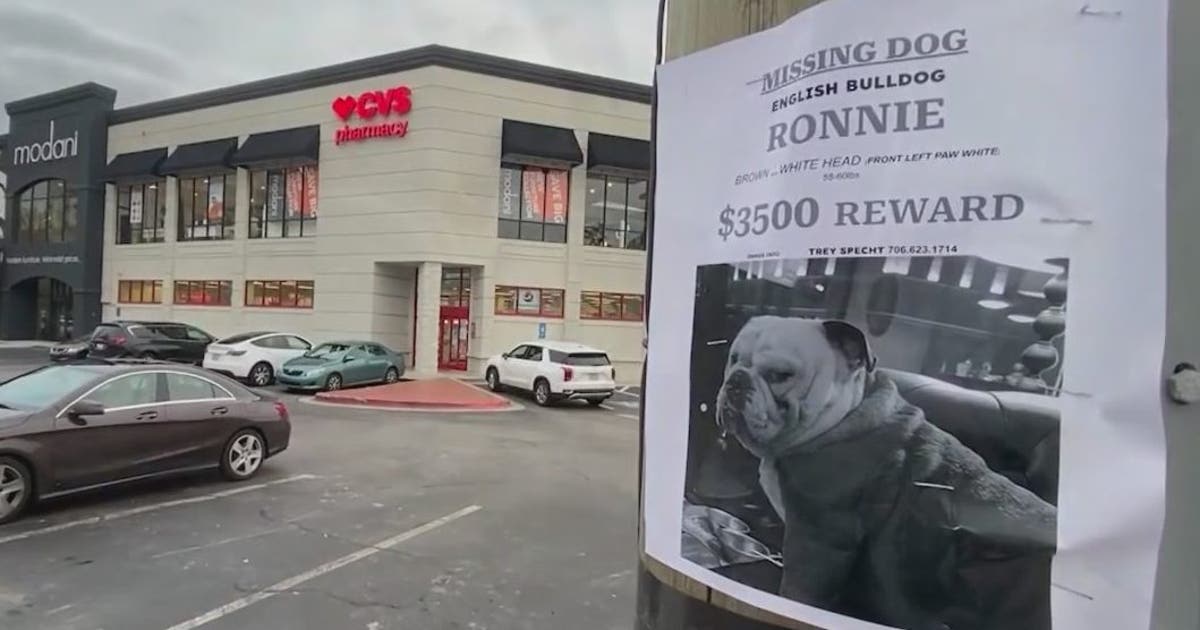 Good Samaritan reunites missing dog with owner after auto theft | FOX 5 ...