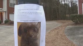 DeKalb County woman says burglar stole dog, valuables while she was at church