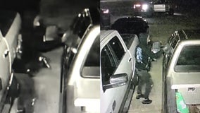 Clayton County police on high alert over spike in Kia, Hyundai break-ins