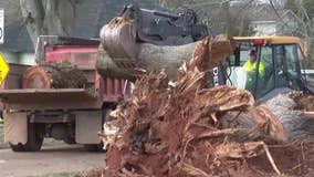 EF-1 Tornado hammers LaGrange damaging homes, businesses