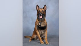 Paulding Sheriff's Office mourns loss of 'beloved' canine