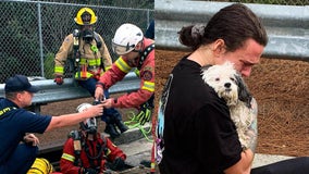 Firefighters rescue trucker's dog that fell into Cobb County storm drain