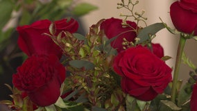 U.S. Customs and Border Protection inspects flowers for Valentine's Day