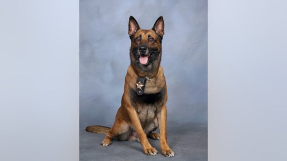 Paulding Sheriff's Office mourns loss of 'beloved' canine