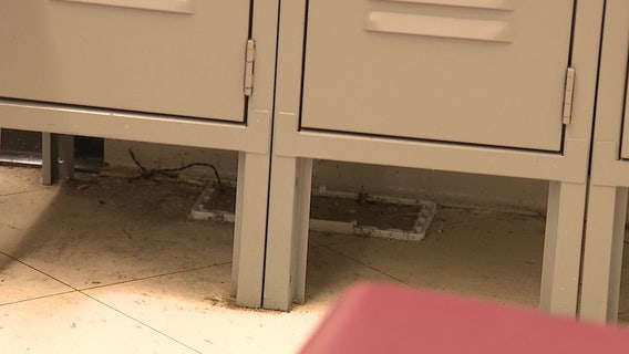 Atlanta airport rats spotted again in police precinct, officials say