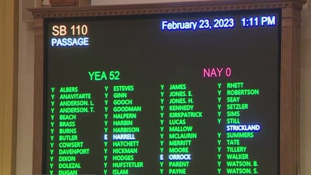 Georgia Senate approves 'Back the Blue' donation bill