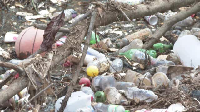 Trash blights Atlanta nature preserve: 'I nicknamed it trash island'