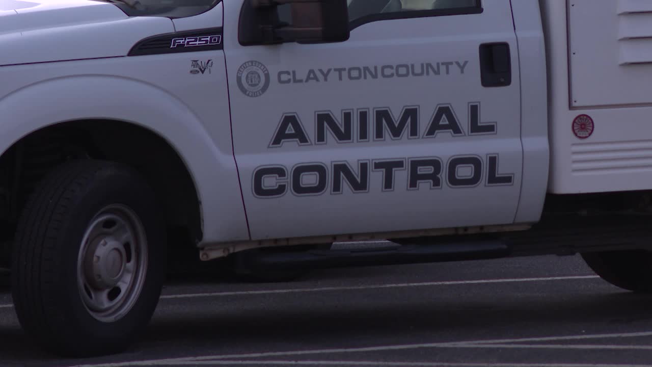 Clayton County dog euthanized for rabies testing after attacking 2 people