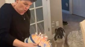 Whoops! Birthday cake celebration goes awry
