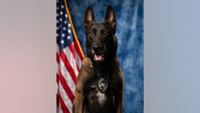 Good boy! Marietta K-9 officer retires after 7 years of service