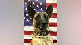 Retired Cherokee County K9 dies