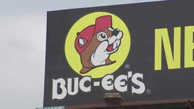 UT scientists name ancient beaver species after Buc-ee’s