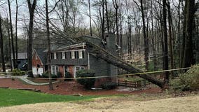 Family forced to rebuild after massive tree topples onto Cobb County home