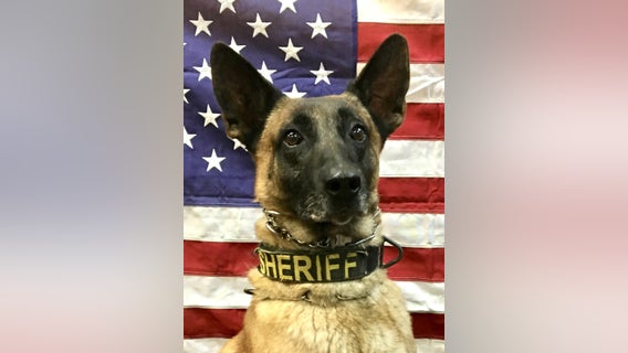Retired Cherokee County K9 dies