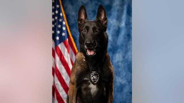 Good boy! Marietta K-9 officer retires after 7 years of service