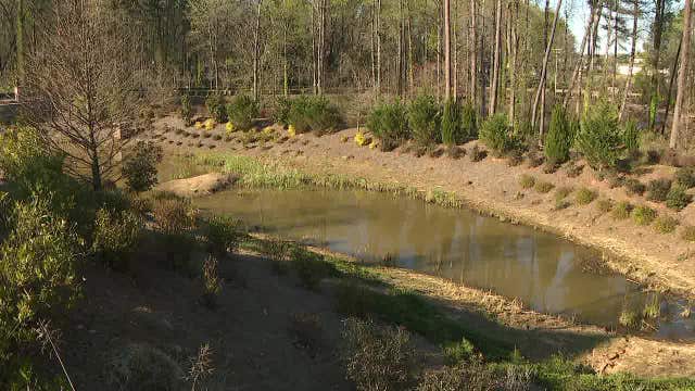 Construction worker finds body in pond near homes in Doraville