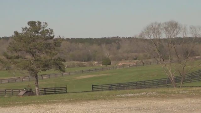 2 bodies found at Bouckaert Farm in Chattahoochee Hills