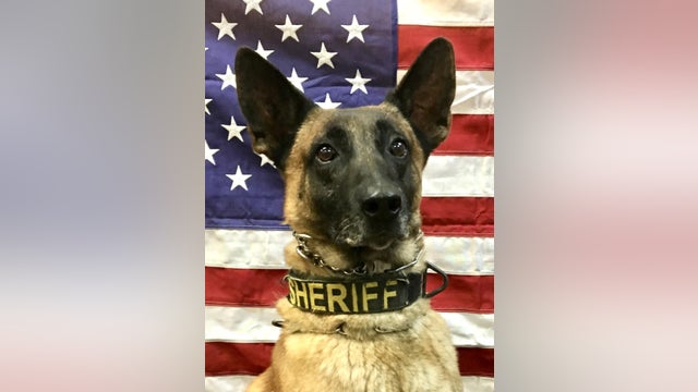 Retired Cherokee County K9 dies