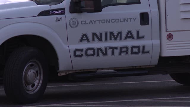 Clayton County dog euthanized for rabies testing after attacking 2 people