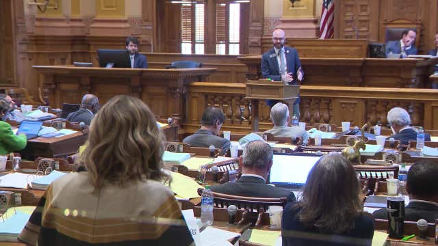 Georgia Senate budget targets public media, cyber center