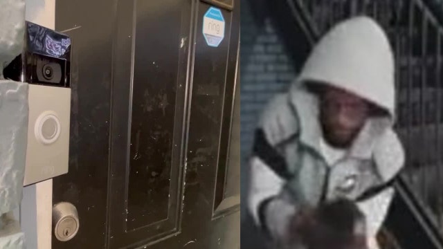 Warrants issued for man caught on video beating dog in DeKalb County