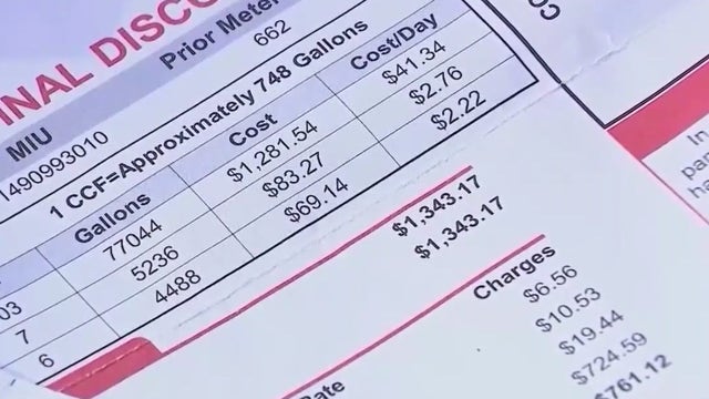 Georgia Power offers customers March credit before proposed rate hike
