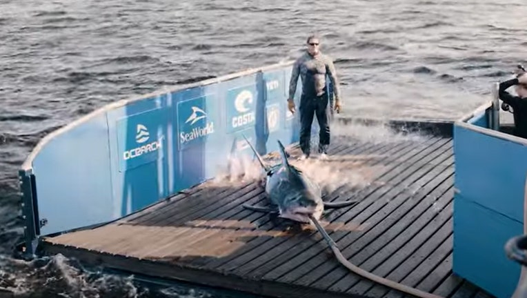 This image from OCEARCH shows great white shark Hali being tagged off the coast of Nova Scotia on Sept. 12, 2021.
