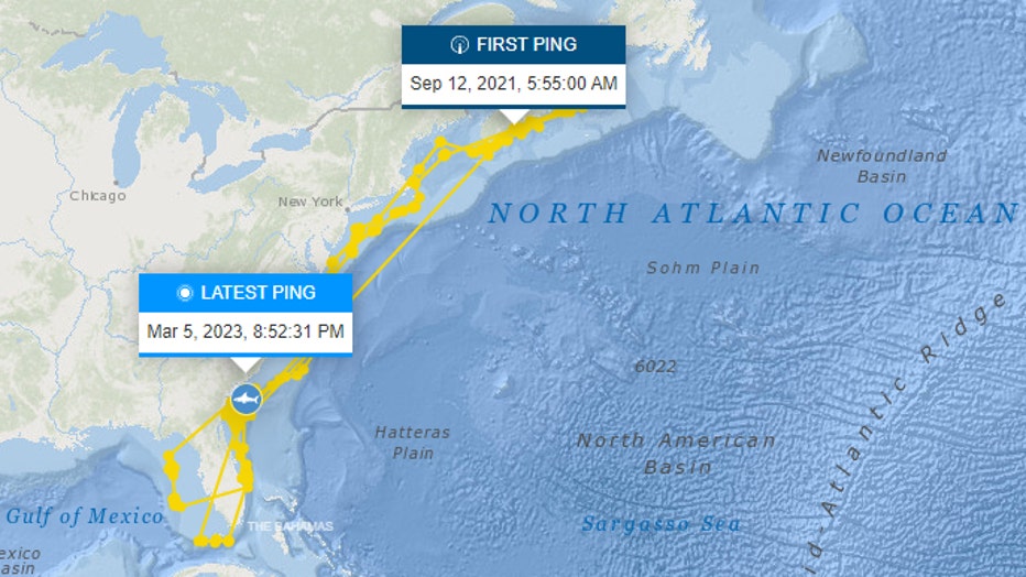 This image from OCEARCH.org shows the track of great white shark Hali from when she was first tagged off the coast of Nova Scotia on Sept. 12, 2021 to near Tybee Island on March 5, 2023.