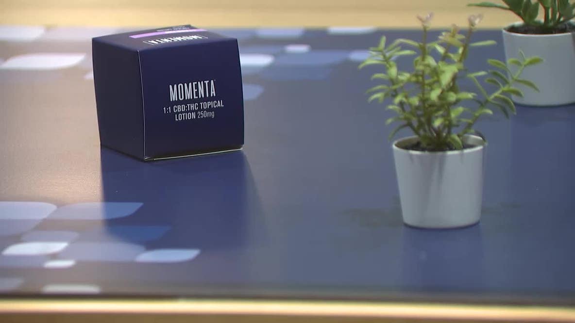 Georgia medical cannabis bill signed into law