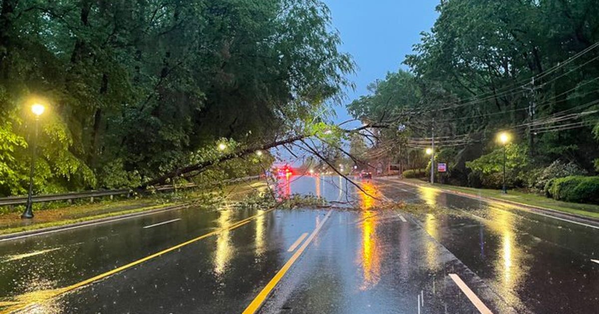 Downed tree closes lanes on Roswell Road Sunday morning | FOX 5 Atlanta