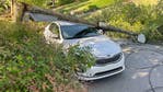 Tree, wires fall on car in NW Atlanta; road blocked