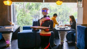 Are robot waiters the future? Some in restaurant industry think so