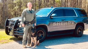 New K-9 team joins Coweta County Sheriff's Office