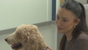 'Walking Dead' actress visits dogs at LifeLine Animal Project