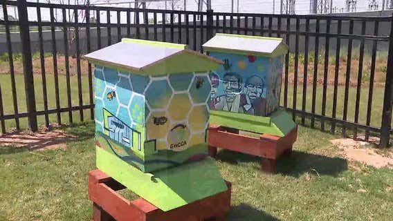 Beehives make life 'sweeter' at Sandy Springs medical facility