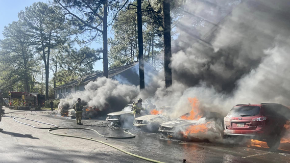 Six cars in DeKalb County catch fire after fallen tree hits power lines that land on car