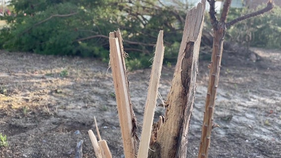 EF-0 tornado touches down in Woodstock