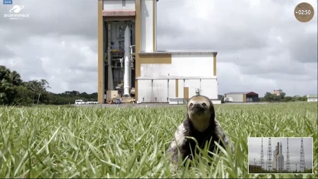 Sloth distracts viewers during ESA’s Juice mission to Jupiter