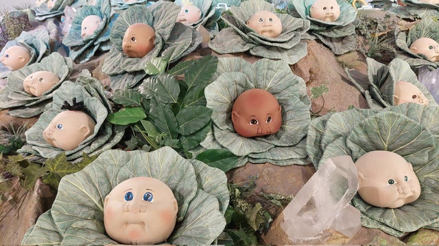 Cleveland's BabyLand General Hospital marks 45 years of 'adoptions'