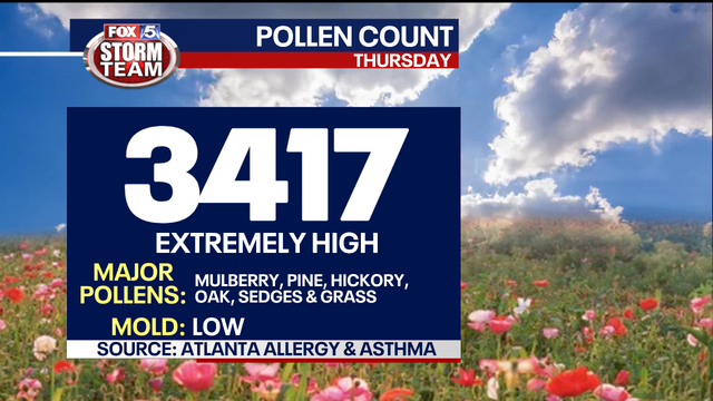 Record pollen counts continue in 2023 in Atlanta; could it get worse?