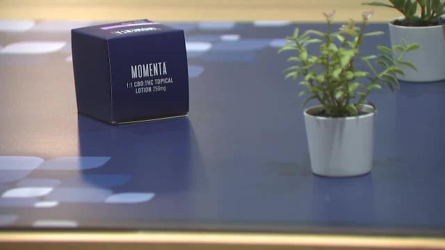 Georgia medical cannabis bill signed into law