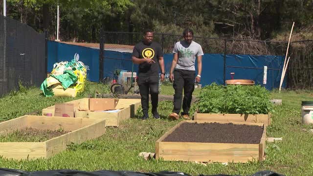 Georgia Gwinnett College program turns food waste into fresh produce