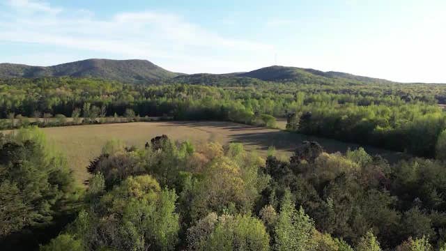 Group trying to save north Georgia wildlife preserve