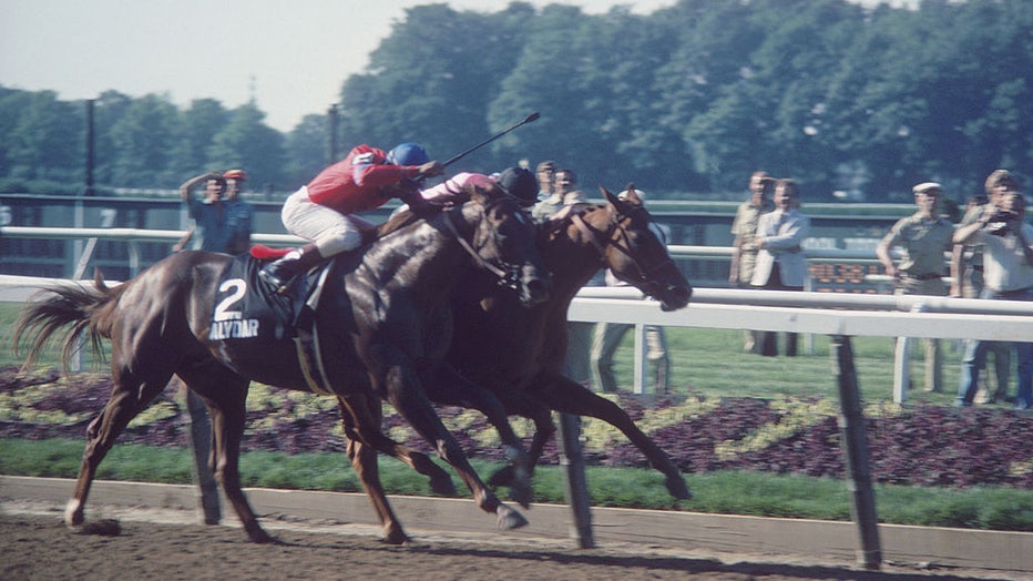 Affirmed-wins-Belmont-Stakes.jpg