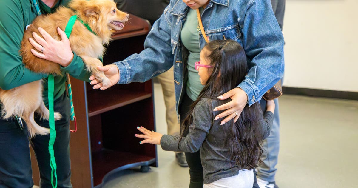 After giving up hope, family reunited with lost dog 3 years later in ...