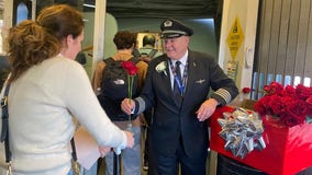 American Airlines pilot Russ Wayant continues tradition of giving roses to passengers on Mother's Day
