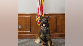 Carrollton Police Department mourns unexpected death of young K-9 officer