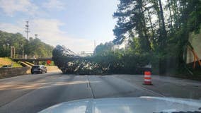 Traffic flowing once again on GA-400 after downed tree causes delays
